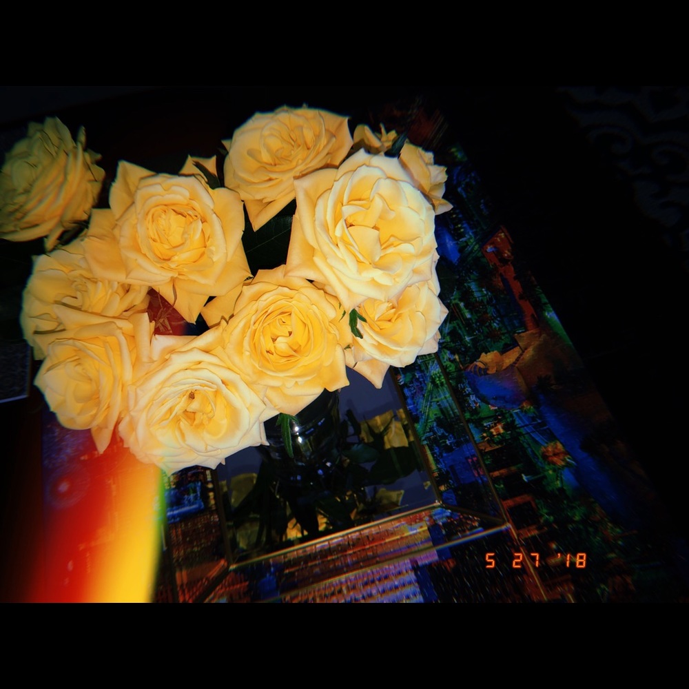 Meet your Posher, Taylor